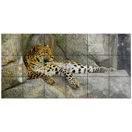 "Leopard Perch" Krosting